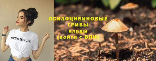 шишки Алексин