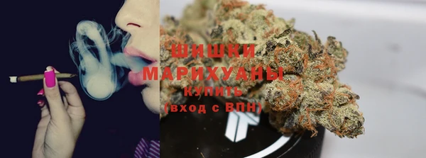 СК Алзамай