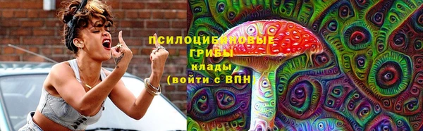 шишки Алексин