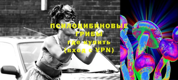 шишки Алексин