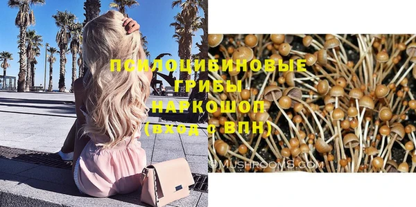 сатива Остров
