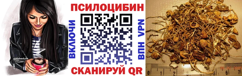 Галлюциногенные грибы Psilocybine cubensis  darknet Telegram  Куйбышев 